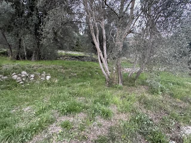 Grasse Vente Terrain 06