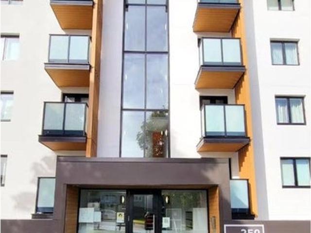 grey lynn, 1 bedroom