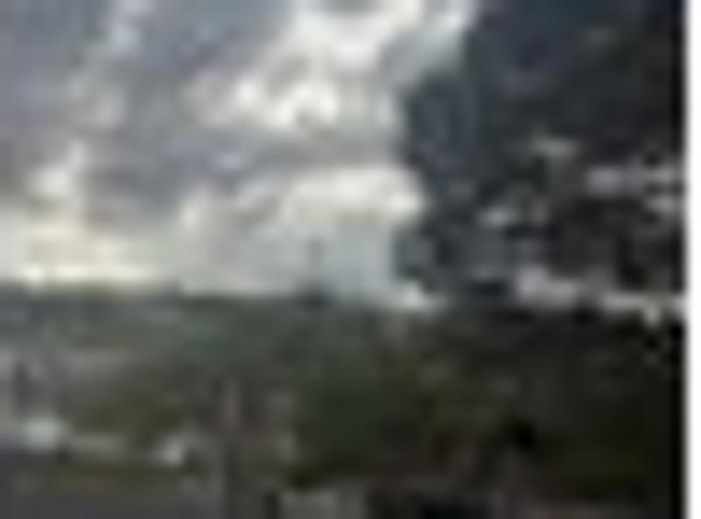 Grey Lynn, 4 bedrooms, $1100 pw
