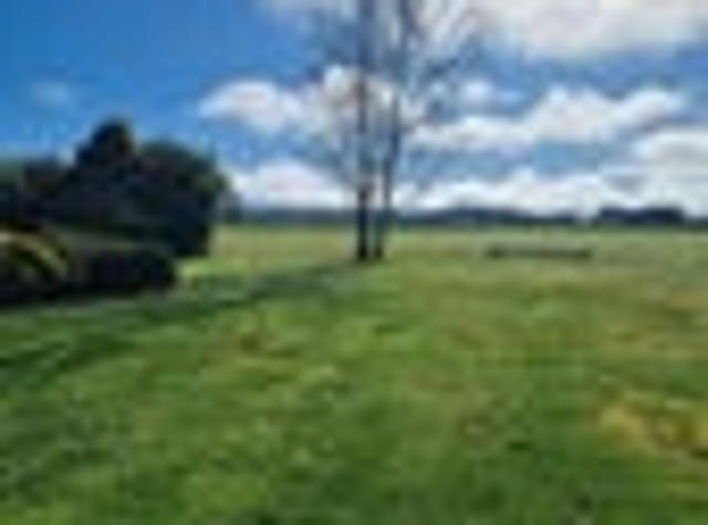 Greytown, 5 bedrooms, $600 pw
