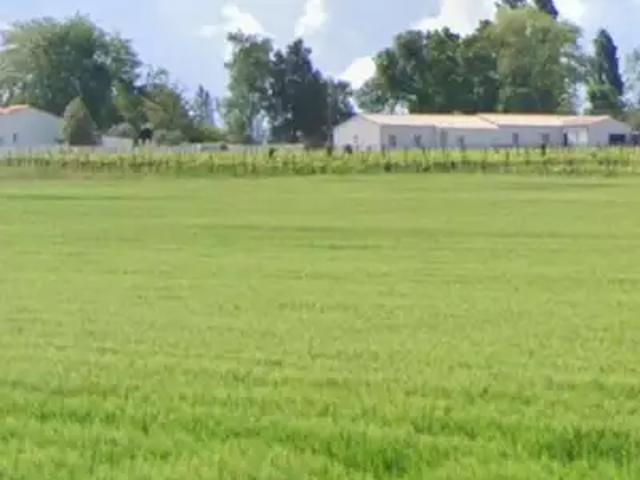 Grézac 17120 Programme neuf terrain neuf à vendre