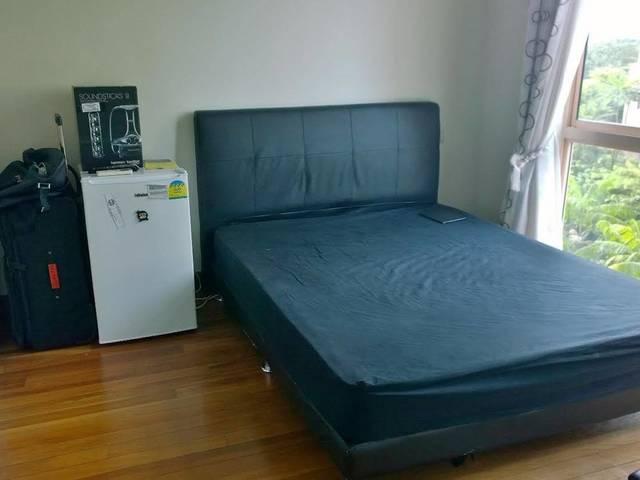 Great World City! River Valley ! Queen Room with Private Bathroom!