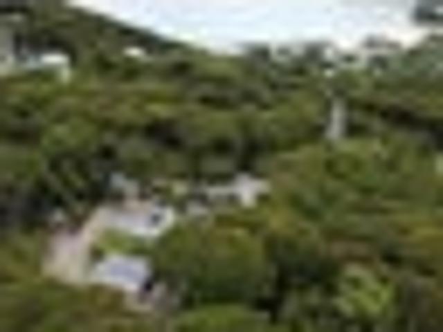 Great Barrier Island Tryphena top spot