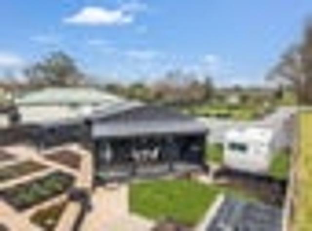 Great Potential, Country Section & More