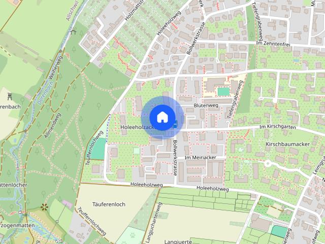 Green Basel Home 5 beds free parking