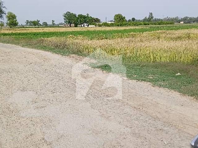 Green Land Main Barki Road Direct Access 8 Acor Land For Sale Carpet Road Golden Opportunity For Huge Farmhouse In Lowest Budjet