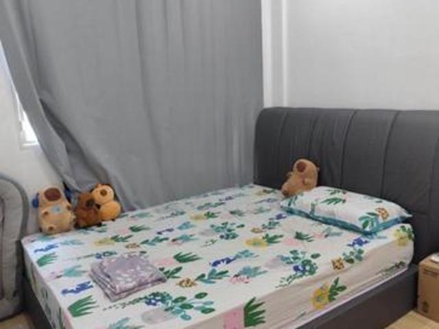 Greenlane Heights at Greenlane Penang Fully Furnish