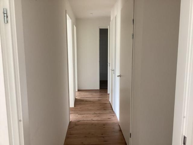 Grenenhout 8 031