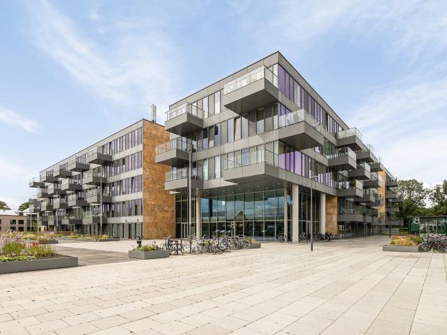 grenenhout 8 405 eindhoven