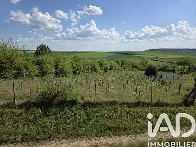 Grenois 58420 Achat / Vente terrain