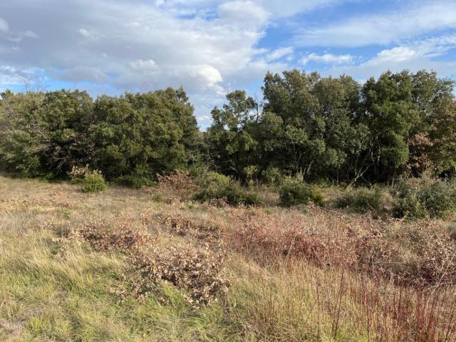 Grignan Vente Terrain 26