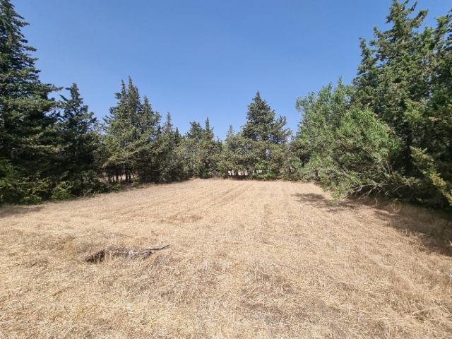 Grillon Vente Terrain 84