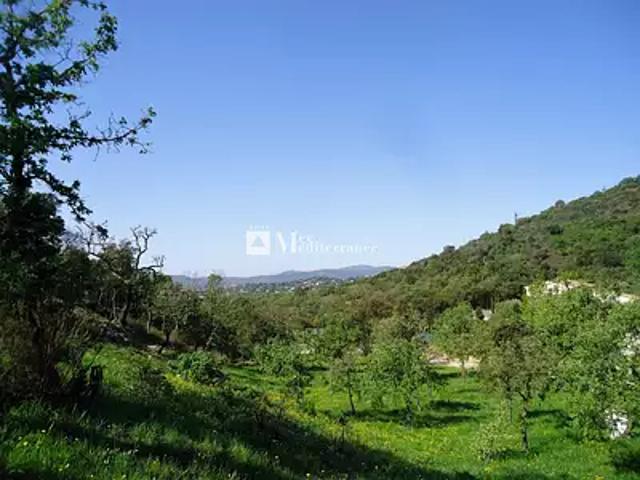 Grimaud 83310 Achat / Vente terrain