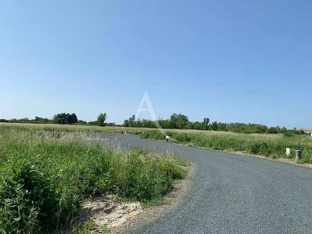 Grues Vente Terrain 85