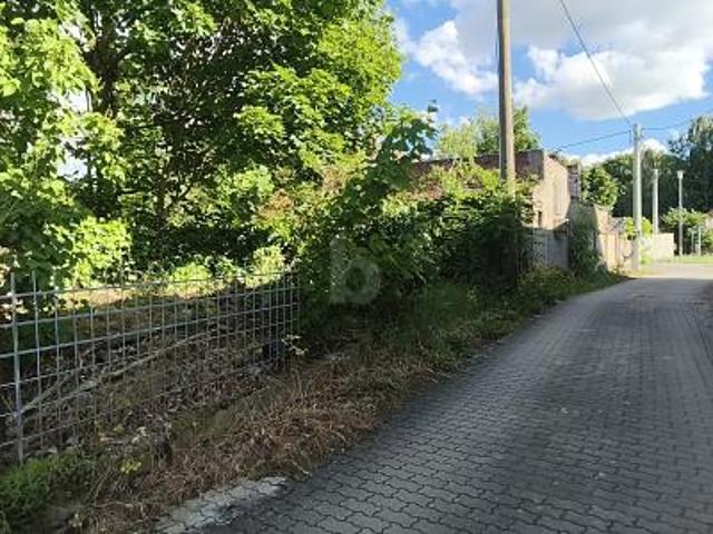 GRÜN, RUHIG UND IDYLLISCH MIT ALTBESTAND