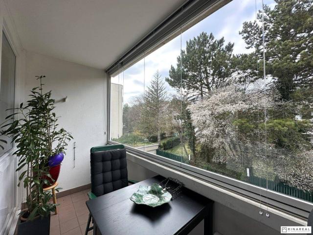 Grünblick & Ruhelage | Großzügige 3 Zimmer Wohnung mit Loggia | inkl. PKW Stellplatz | Vollmöbliert | Waldwiese, Bad Vöslau