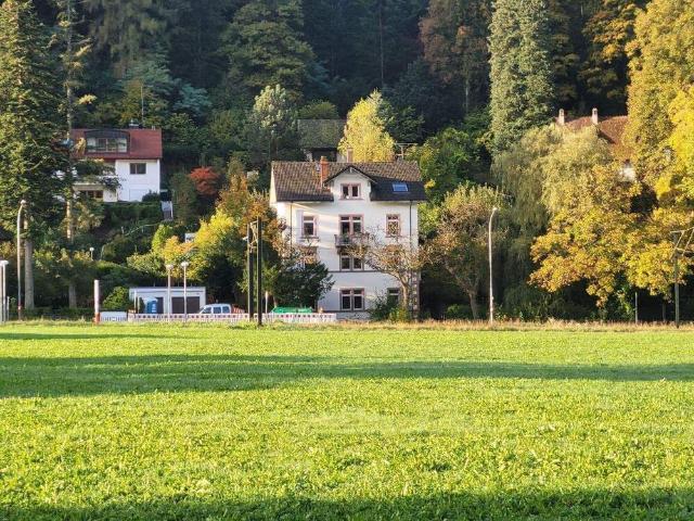 Gründerzeit 4 FamHs + Fabrik Loft + ideal f. Käufer Gruppe + 405qm WNF + 528qm GS + Gartenhs + Paradiesgarten + teilbar in Teileigentum