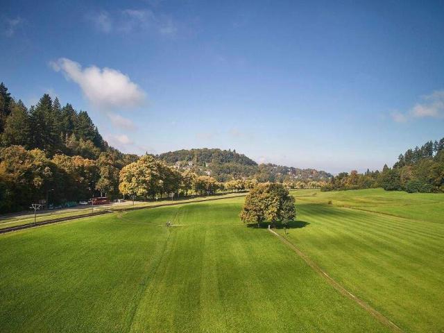 Gründerzeit modernisiertes 3 4 Fam.Haus mit Fabrik Loft + 405qm WNF + 528qm GS + Gartenhaus + Paradiesgarten + teilbar in Teileigentum