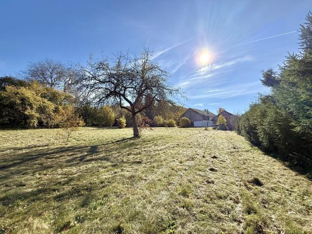 Grundstück mit vielen Optionen naturverbunden * 82319 Starnberg Hadorf