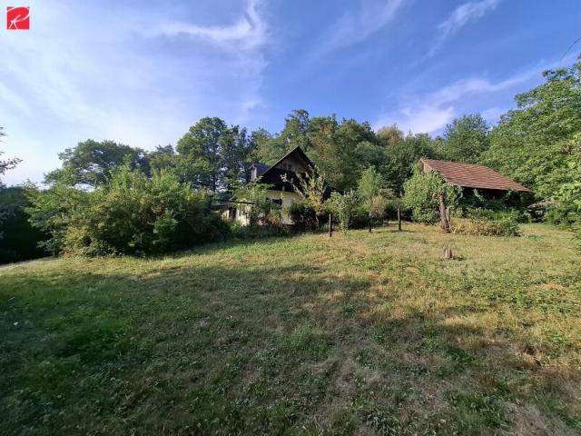 Grundstück mit Altbestand – 2.432 m² Bauland & Holzhütte