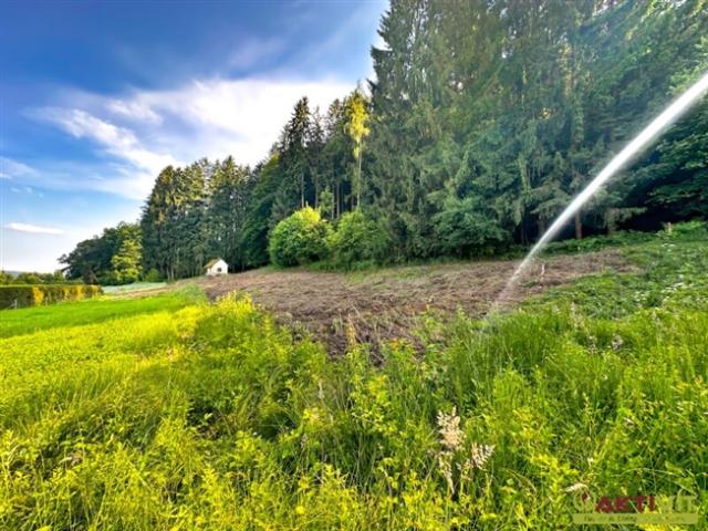 Grundstück mit eigenem Wald und Genehmigung für kleines Haus! Nur 15 Min. vor Graz