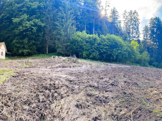 Grundstück mit eigenem Wald und Genehmigung für kleines Haus! Nur 15 Min. vor Graz