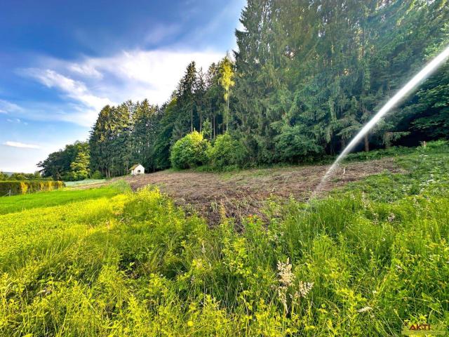 Grundstück mit eigenem Wald und Genehmigung für kleines Haus! Nur 15 Min. vor Graz
