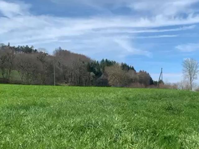 Grundstück am Rand der Bauzone