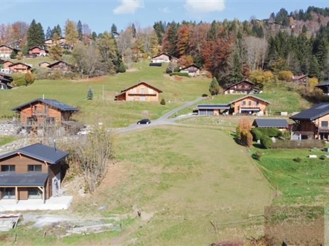 Grundstück in Gryon mit Baubewilligung für Chalet als Hauptwohnsitz