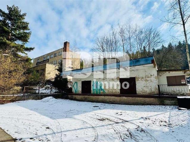 Grundstück in Hohenleuben 99.000,00 EUR 13048 m²