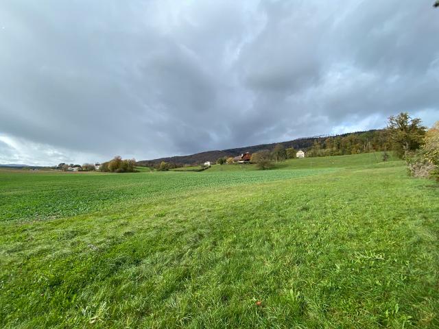 Grundstück von 1 966 m2 ideal gelegen in einem Wohngebiet
