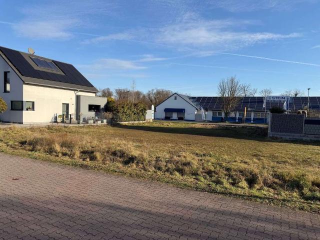 Grundstück zu verkaufen in Waldsee 379.000,00 EUR 515 m²