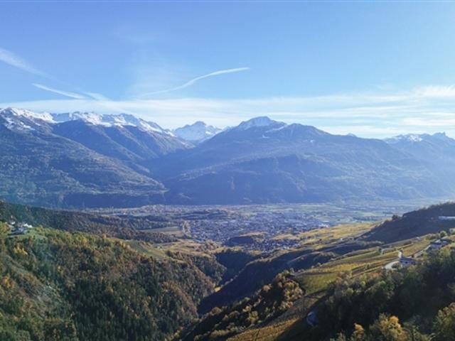 Grundstück zum Verkauf auf den Hügeln von Conthey mit atemberaubender Aussicht