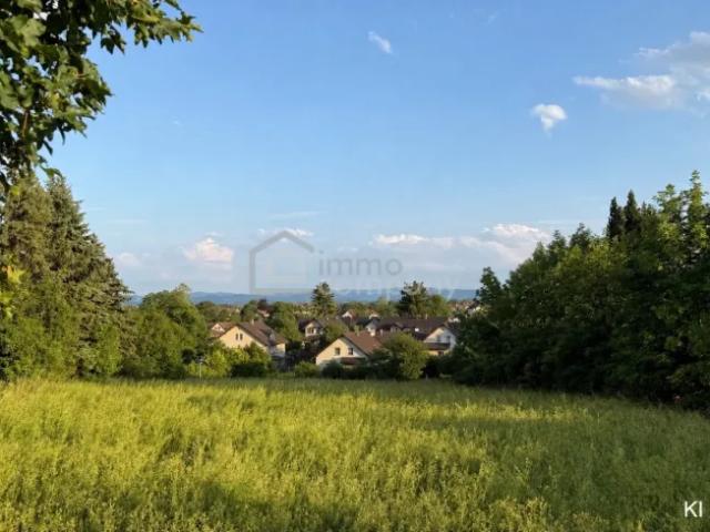 Grundstücke Winzendorf Winzendorf 104326858