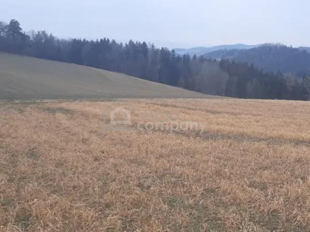 Grundstücke Wiesmath Wiesmath 103382168