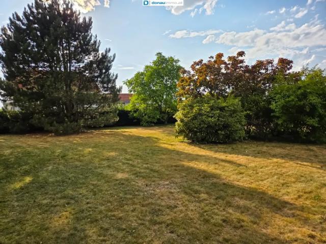 Grundstücke Zu Verkaufen Kirchberg Am Walde Kirchberg Am Walde 50085 ES104799065