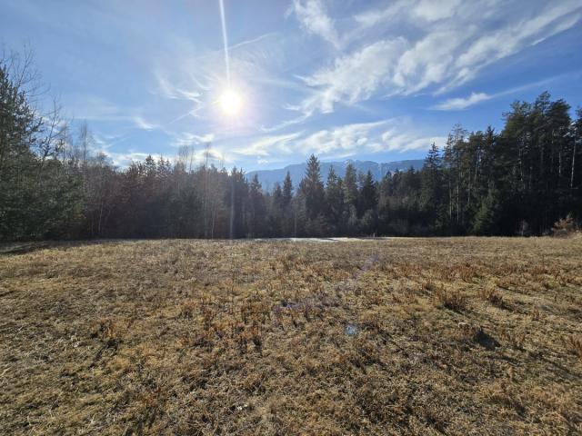 Grundstücke Lieserhofen 9851 DS87097925