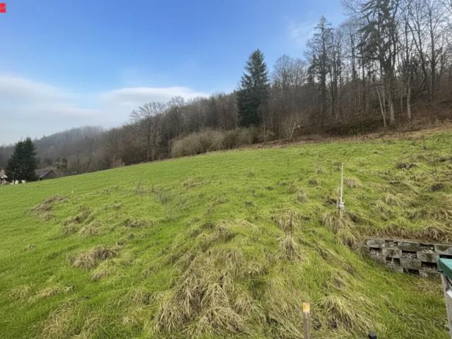 Grundstücke Stattegg Stattegg 103520854
