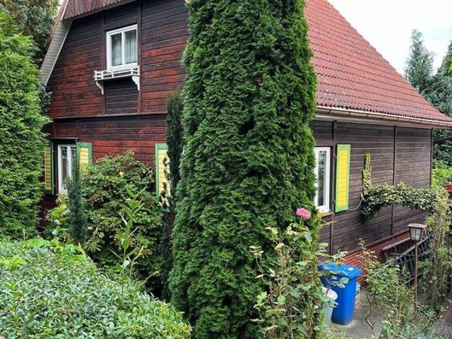 Grüne Erholung im Stadtgebiet