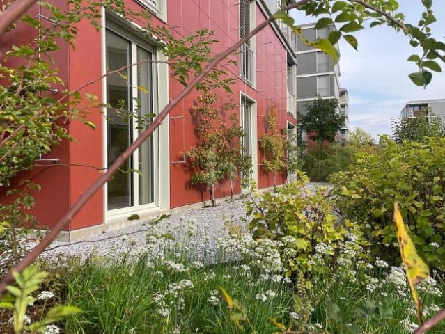 GRÜNE OASE DER RUHE FÜR SENIOREN