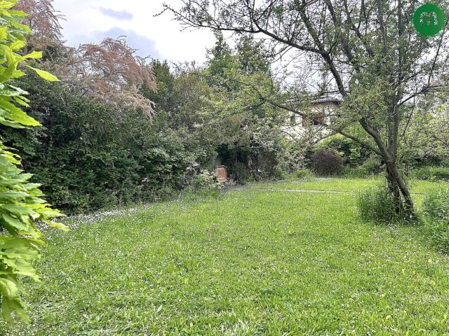 Grünes Refugium in Hietzing 627 m² Gartengrund mit charmantem Wochenendhaus