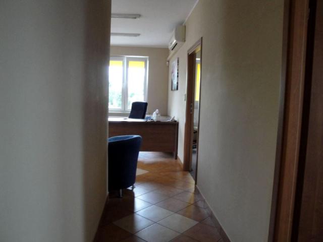 Grunwald 72 m², Poznań