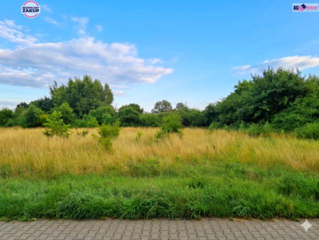 Grunwaldzka 1 439 m², Pruszcz Gdański