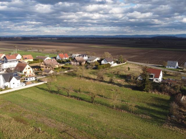 Grussenheim Vente Terrain 68