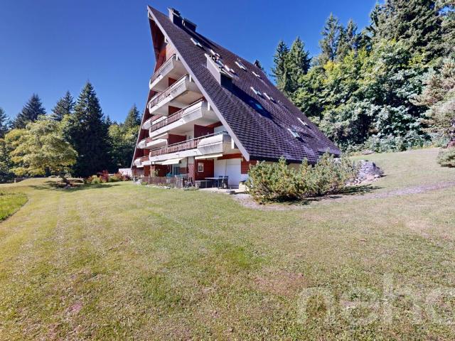 Gryon – 2 Zimmer Wohnung – Blick auf die Muverans und Dents du Midi