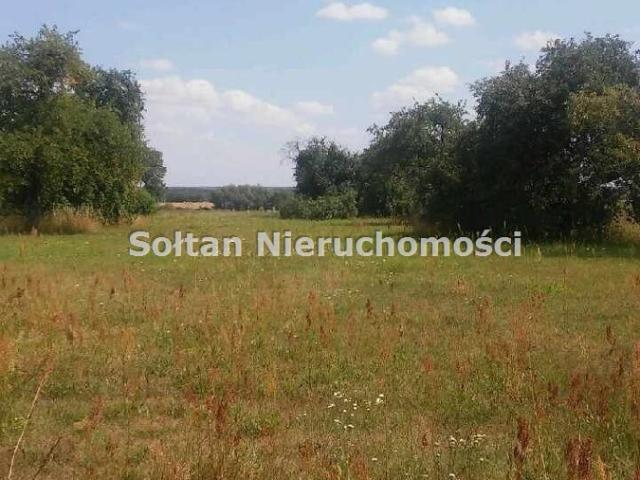 Grzybów, 100 m2