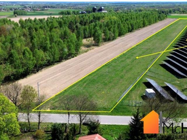 Grzybów 11 400 m², Grzybów