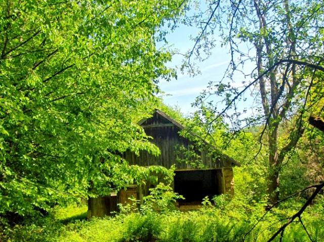Grzybowa 9 600 m², Będkowice