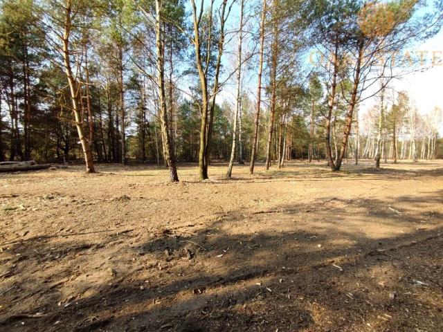 Grzybowa 1 100 m², Skarżysko Kamienna