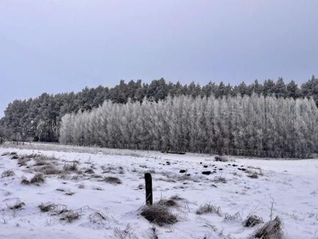 Grzybowo, 2007 m² Działka